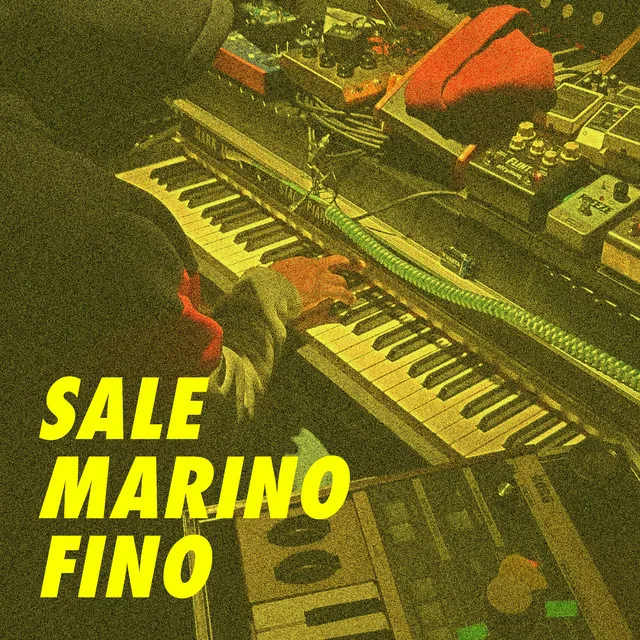 Sale Marino Fino