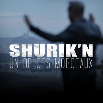 Un de ces morceaux by Shurik'n