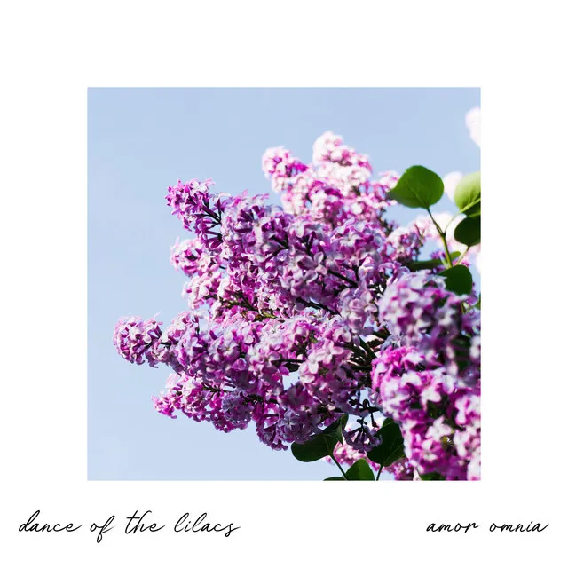 Dance Of The Lilacs