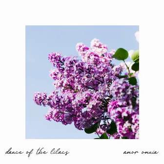 Dance Of The Lilacs by Amor Omnia