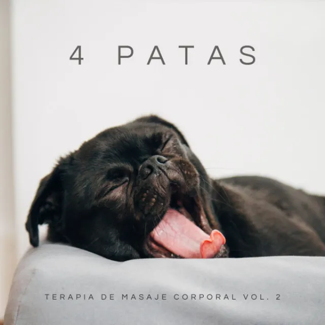 4 Patas: Terapia De Masaje Corporal Vol. 2