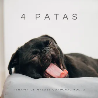 4 Patas: Terapia De Masaje Corporal Vol. 2 by Música Pura Para Perros