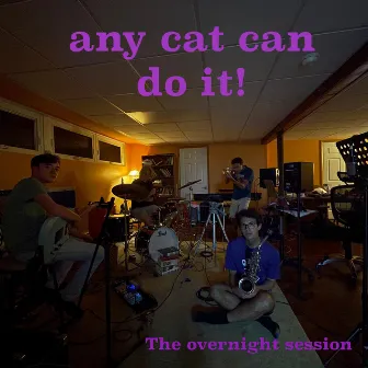 any cat can do it by Nick Letwin