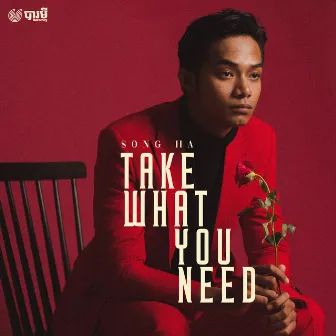 Take What You Need by Songha