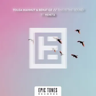 This Is The Sound by Tolga Mahmut