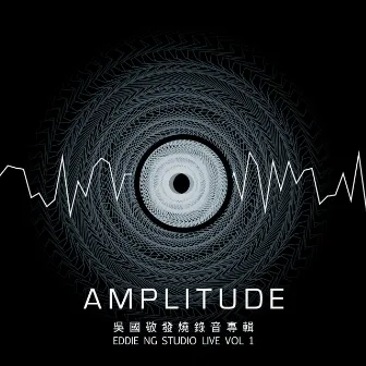 Amplitude by Eddie Ng