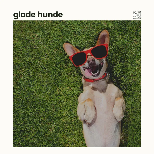 Glade hunde