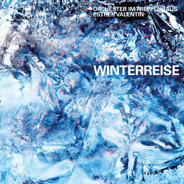 Winterreise, D. 911: 24. Der Leiermann