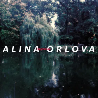 Daybreak by Alina Orlova