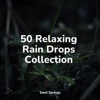 50 Relaxing Rain Drops Collection by Elements of Nature