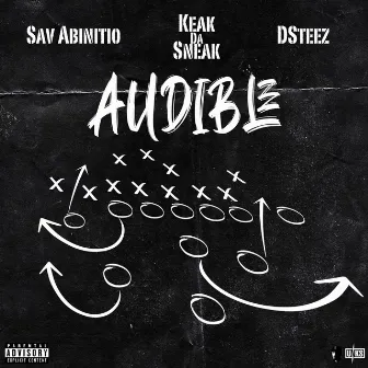 Audible by Sav Abinitio