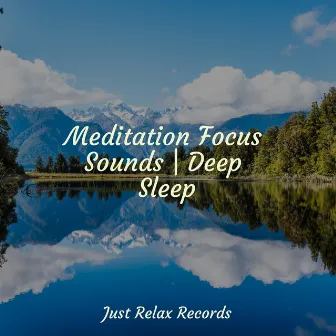 Meditation Focus Sounds | Deep Sleep by Study Hard