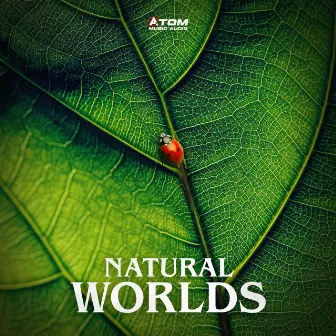 Natural Worlds by Jonathan Sharp