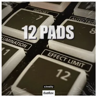 12 Pads by Unknown Artist