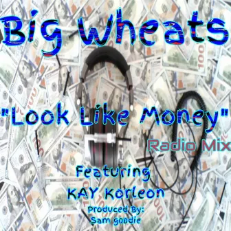 Look Like Money (Radio Edit) by Big Wheats