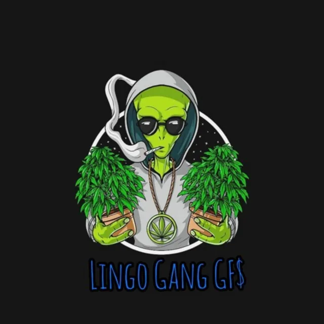 LINGO Freestyle