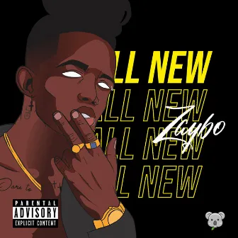 All New by Zaybo