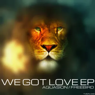 We Got Love EP by Freebird