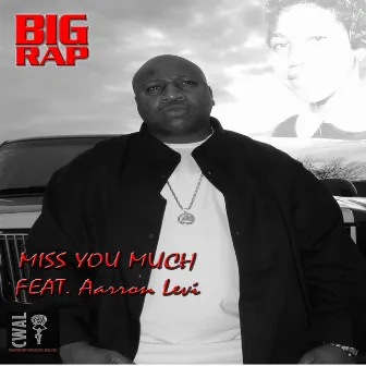 Miss You Much by Big Rap