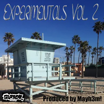 Experimentals, Vol. 2 by Mayh3m!