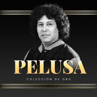 Colección De Oro by Pelusa