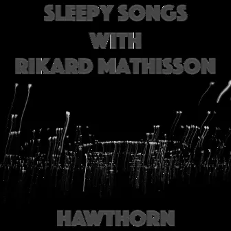 Hawthorn by Sleepy Songs