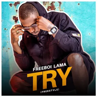 Try(Freestyle) by Freeboi Lamma