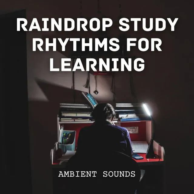 Study Music Experience