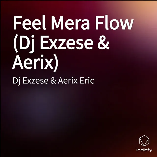 Feel Mera Flow (Dj Exzese & Aerix)