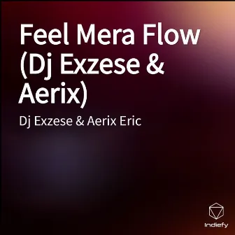 Feel Mera Flow (Dj Exzese & Aerix) by Dj Exzese