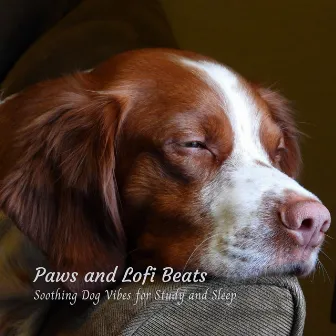 Paws & Lofi Beats: Soothing Dog Vibes for Study & Sleep by Dogs