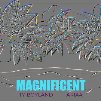 Magnificent by Ty Boyland