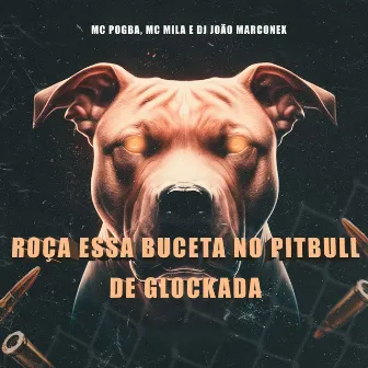 Roça Essa Buceta no PitBull de Glockada by MC Mila