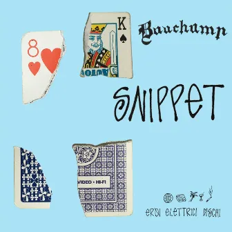 Snippet by Bauchamp