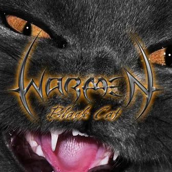 Black Cat by Warmen