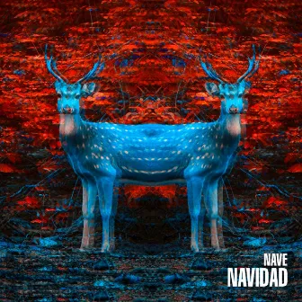 Navidad by Nave