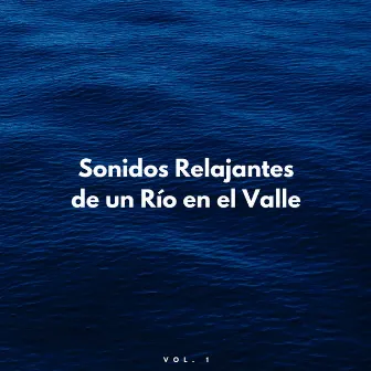 Sonidos Relajantes De Un Río En El Valle Vol. 1 by 