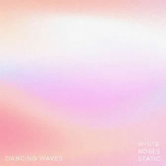 White Roses Static by Dancing Waves