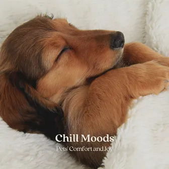 Chill Moods: Pets' Comfort and Joy by Calm Dog Music