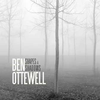 Shapes & Shadows by Ben Ottewell