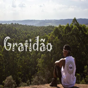 Gratidão by hsnavoiz