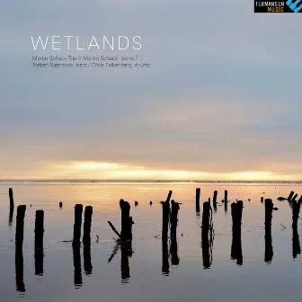 Wetlands by Martin Schack