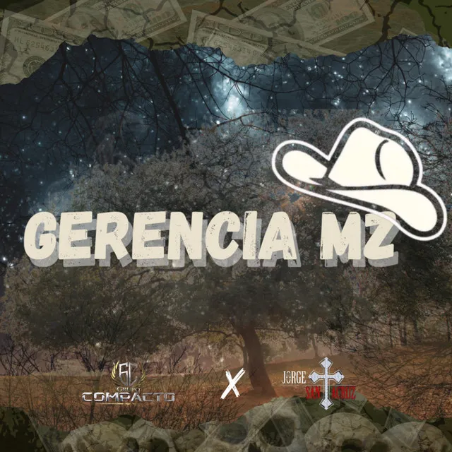 Gerencia Mz