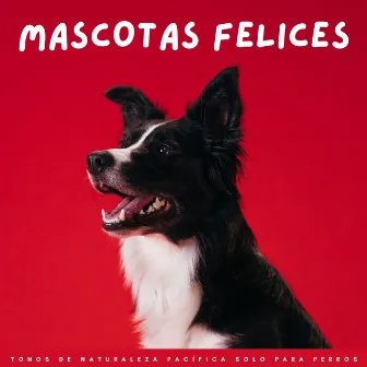 Mascotas Felices: Tonos De Naturaleza Pacífica Solo Para Perros by Academia de música de mascotas tranquilas