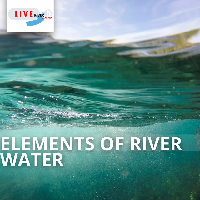 Elements of River Water