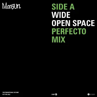 Wide Open Space (Perfecto Mix) by Perfecto