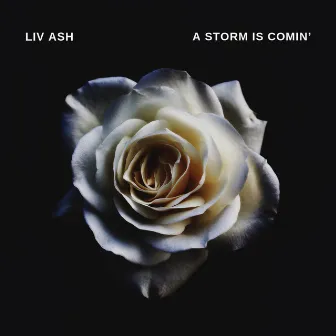 A Storm Is Comin by Liv Ash