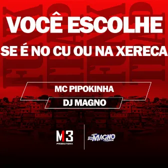 Você Escolhe Se É no Cu ou na Xereca by DJ MAGNO