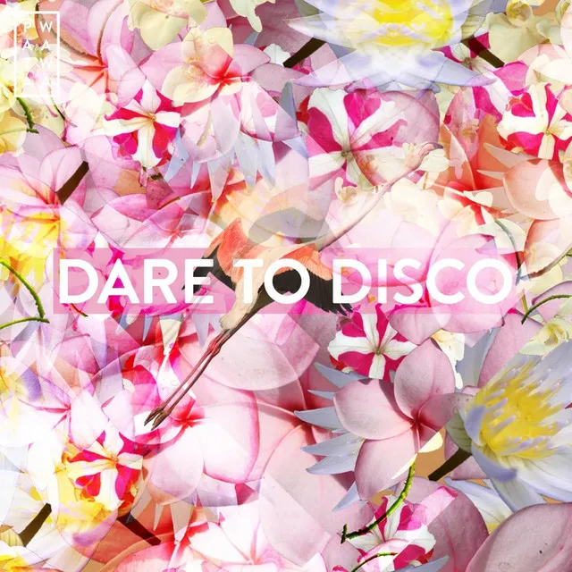 Dare To Disco