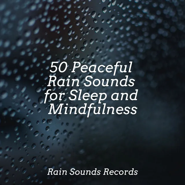 50 Peaceful Rain Sounds for Sleep and Mindfulness